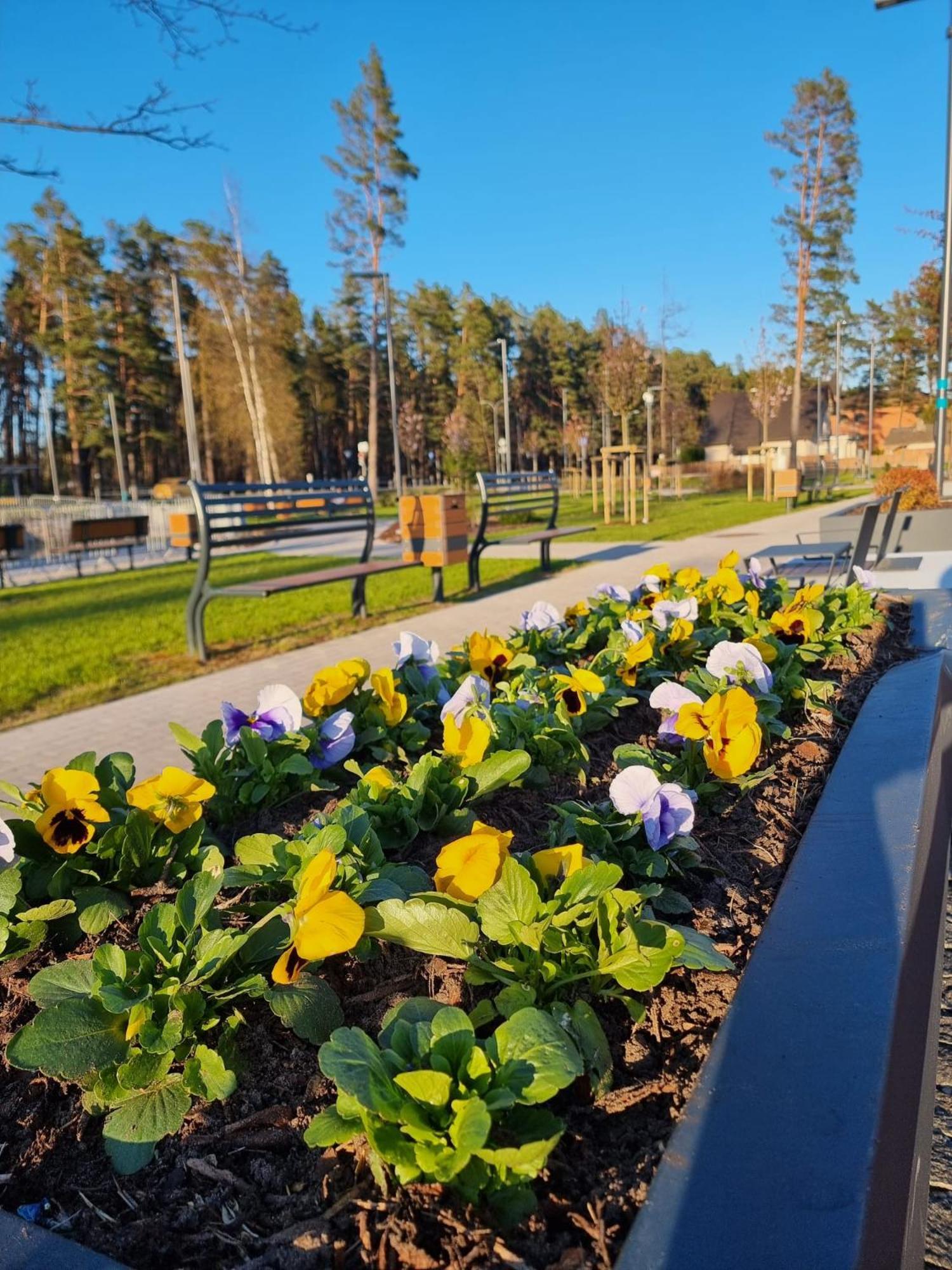 Flip-Flops Apartment Jurmala With Free Parking Экстерьер фото